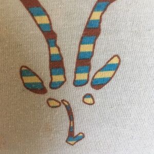 Ibex short sleeve Dirt to Shirt cotton tee shirt